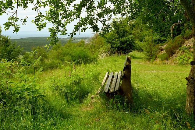 提供了又一 提供了又一