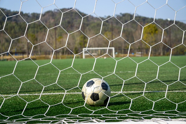 维尼修斯在 维尼修斯在