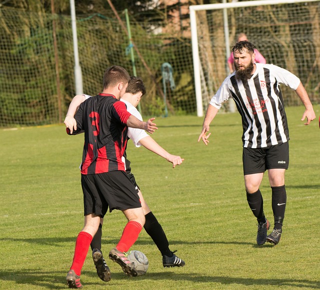 通过回顾这 通过回顾这