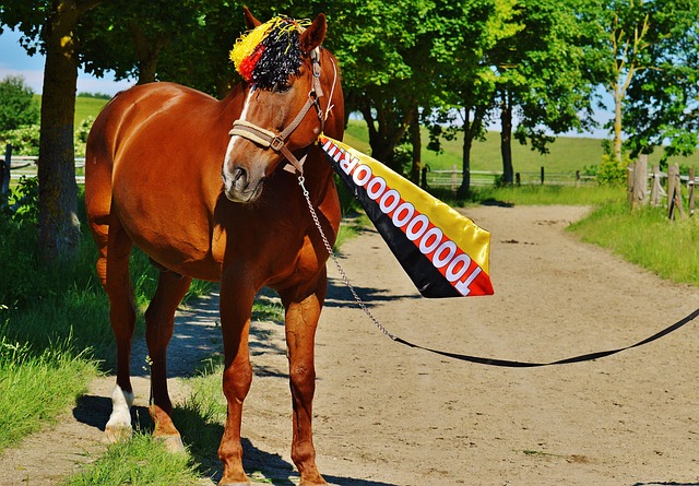 巴黎vs多特：都说姆巴佩有剧本设定和主角光环，那多特有啥呢？.
