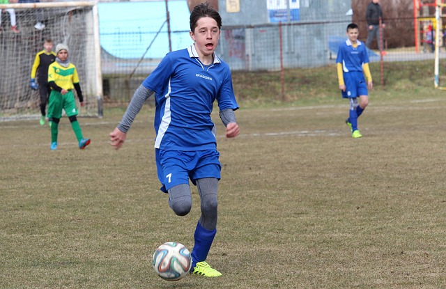 经济纽带 经济纽带