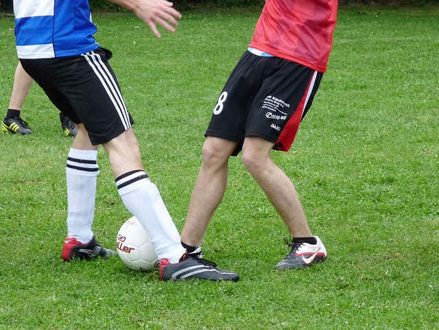 瓜迪奥拉的 瓜迪奥拉的