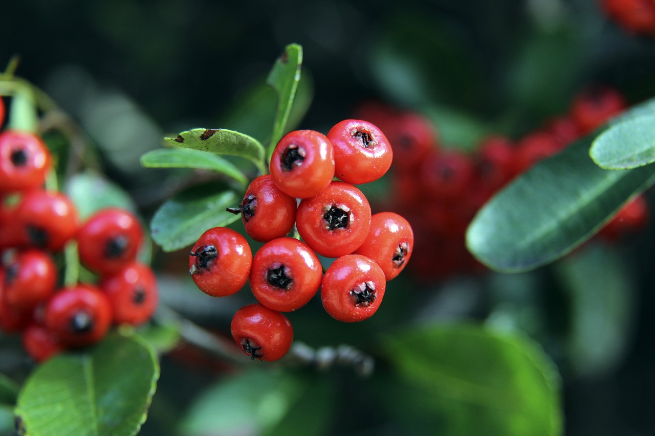 陳戌源表示國足有能力有責任出線不懼怕對手.