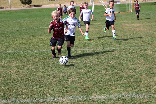 重要组成部 重要组成部